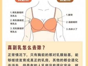 双乳太丰满 为什么双乳太丰满会成为困扰？