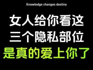 免费看女人隐私的软件大全,免费看女人隐私的软件大全：窥探他人隐私的危险