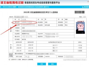 高考考生号查询攻略：考生号查询入口官网地址及查询流程详解