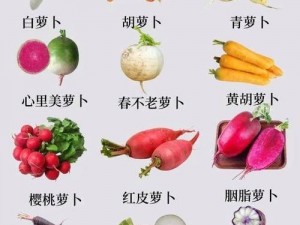 白萝卜与胡萝卜的完美搭配：营养共融的食用探究