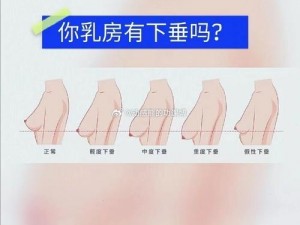 胸特别大特别软很下垂怎么办—胸部过大、过软且下垂，如何是好？