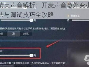 和平精英声音解析：开麦声音意外变小，解决方法与调试技巧全攻略