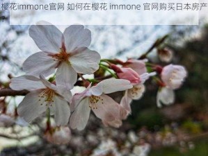 樱花immone官网 如何在樱花 immone 官网购买日本房产？