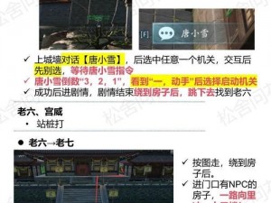 剑网三白帝江关攻略大全：游戏指南与战斗技巧全解析