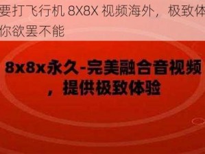 我要打飞行机 8X8X 视频海外，极致体验让你欲罢不能