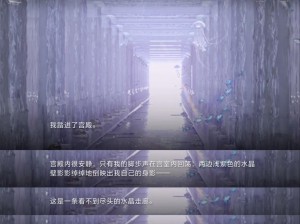 世界之外自由驰骋：天地无束生存攻略与通关指南