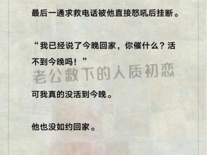 老马泰雨家的幸福往事小说,老马泰雨家的幸福往事：一部充满温情的小说