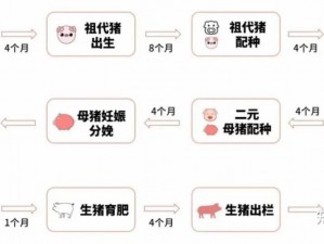 公主连结母猪需求量揭秘：角色升至三级到四级所需母猪数量解析