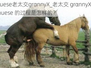 Chuese老太交grαnnyX_老太交 grαnnyX 被 Chuese 的过程是怎样的？