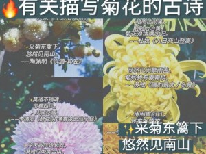 母亲的桃花源菊花,母亲的桃花源菊花，为何能在深秋中绽放？