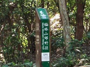 公园后山的交易_神秘的公园后山交易，究竟隐藏着怎样的秘密？