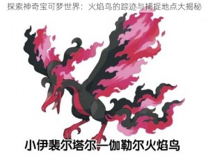 探索神奇宝可梦世界：火焰鸟的踪迹与捕捉地点大揭秘