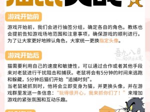 猫鼠手游熟练度：提升技巧、乐趣与竞技力的多重作用