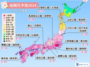 樱花官网官方进入版网址2023_樱花官网官方进入版网址 2023 是什么？