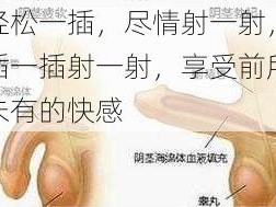 轻松一插，尽情射一射，插一插射一射，享受前所未有的快感