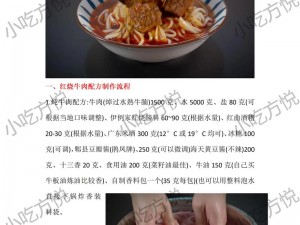 魔力宝贝：探索牛肉面的神秘配方之旅 牛肉面制作秘诀全解析