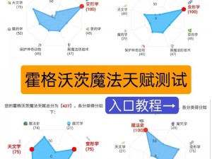 基于霍格沃滋的魔法传承与标准版价格的深探