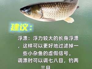 海岛纪元鱼王钓取攻略大全：揭秘专业钓鱼技巧，助力收获珍贵鱼种