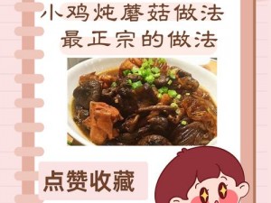 迷你世界蘑菇汤烹饪秘诀：详解蘑菇汤获取与制作方法