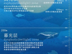 探索深海奥秘：海洋透光层的核心作用与影响