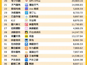 站免费进入窗口软件 2023，让你轻松畅游互联网