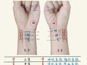 天涯明月刀太白经脉点法详解：攻略经脉选择，提升战力新姿势