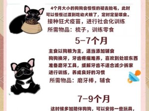 零界之痕宠物猎犬收养全攻略：从了解品种到收养细节的全面介绍