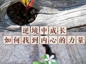 言灵与神启荒的克制之道：探索内心、理解世界与智慧的平衡力量