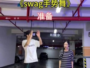 SwAG破解版_SwAG 破解版：免费畅享高级功能的神器？