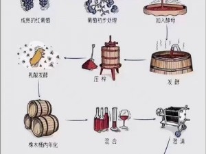 魔法葡萄酒的酿造秘诀：融合传统工艺与创新创造力