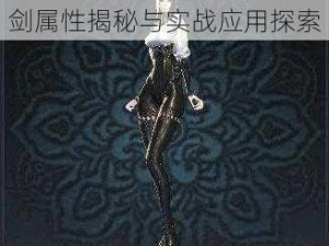 秦义绝专武显威剑灵神风流剑属性揭秘与实战应用探索