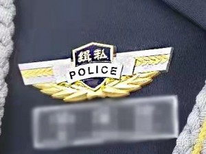 缉私警察时刻警觉：应对挑战，全力以赴铸辉煌成就