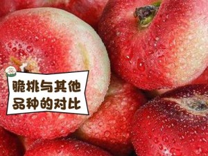 桃子网站www-桃子网站 www 为何备受争议？