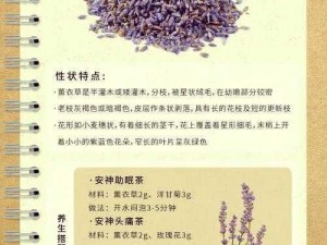 薰衣草研究所网站入口、薰衣草研究所网站入口是什么？