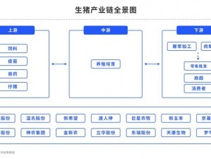 打破养猪流的关键：阵容选择与策略布局全解析