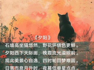 抖音黄昏下的闽南语情缘：夜幕低垂，悠扬旋律中的乡愁故事