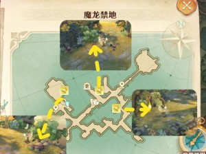 光明大陆精灵族领地：深入了解神秘的自然庇护之所