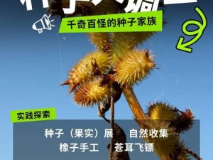 寻找净化神树种子的秘密之旅：揭示种子的诞生与获取之道