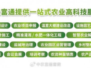 重庆引领水稻秸秆饲料化技术新热潮：探索生态循环农业新模式