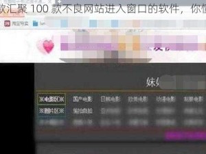 一款汇聚 100 款不良网站进入窗口的软件，你懂的