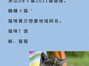 猫咪社区的永久地域网名是什么、猫咪社区的永久地域网名是什么？深入了解猫咪社区的必备条件