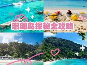 珊瑚岛探险攻略：探索对象多样，体验海岛风情全攻略