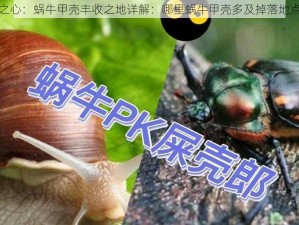 牧羊人之心：蜗牛甲壳丰收之地详解：哪里蜗牛甲壳多及掉落地点全解析