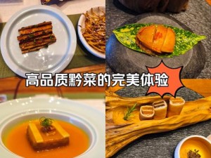 小镇大厨：绝味烹饪的截图一览，味蕾与视觉的双重盛宴