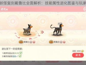 口袋妖怪复刻戴鲁比全面解析：技能属性进化图鉴与玩家体验评价