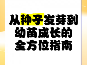 种子初启：从空地起步的全面种植指南