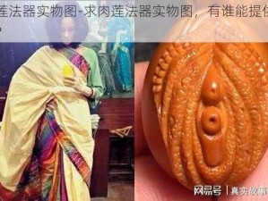 肉莲法器实物图-求肉莲法器实物图，有谁能提供一下？