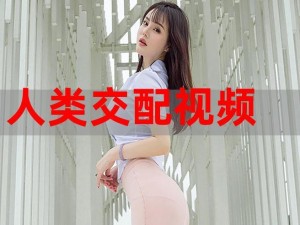 JjZZJjZZ欧美69巨大 JjZZJjZZ 欧美 69 巨大：探索成人世界的激情与刺激