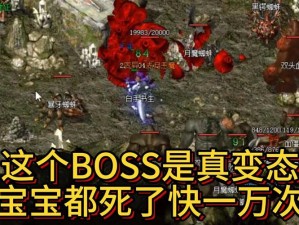 《刀塔传奇团队副本13章BOSS高分攻略：策略与技巧解析》