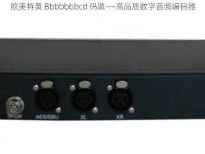 欧美特黄 Bbbbbbbcd 码嗯——高品质数字音频编码器